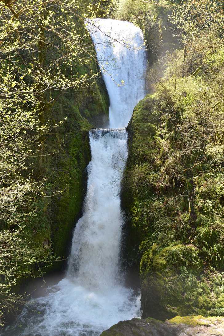 Bridal Veil Falls State Scenic Viewpoint Oregon State Parks