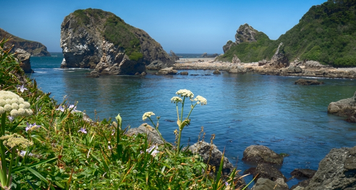Harris Beach State Park Oregon State Parks