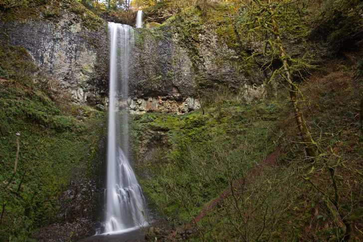 Silver Falls State Park Oregon State Parks