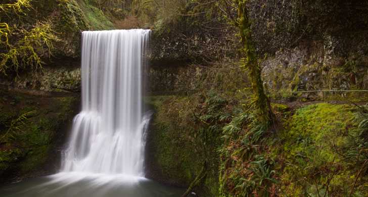 Silver Falls State Park Oregon State Parks