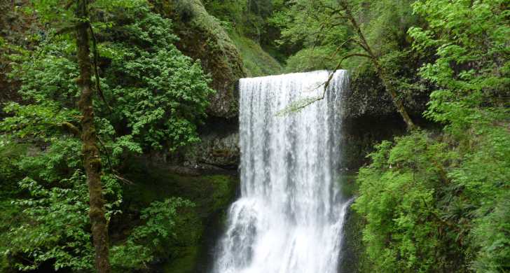 Silver Falls State Park Oregon State Parks