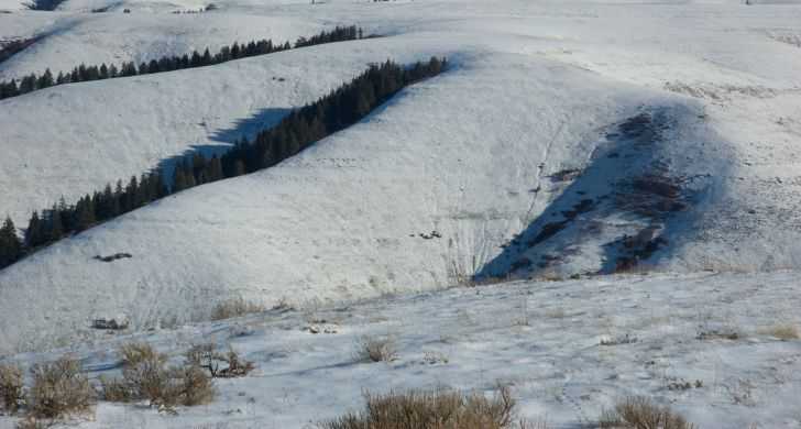 Photo of Blue Mountain Forest State Scenic Corridor