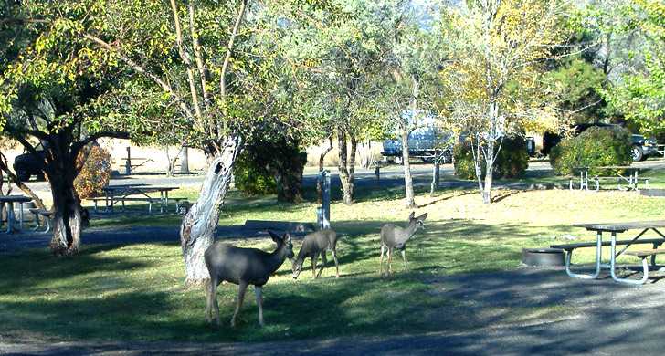 Photo of Goose Lake State Recreation Area