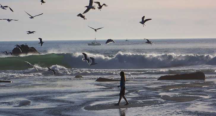 Photo of Harris Beach State Park