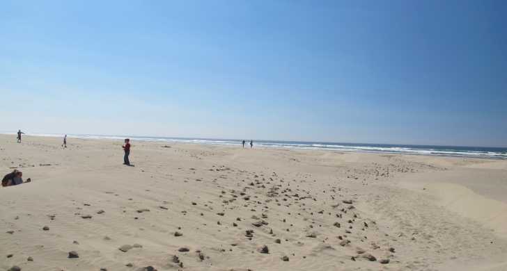 Photo of Agate Beach State Recreation Site