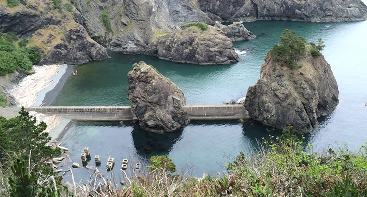 Photo of Port Orford Heads State Park