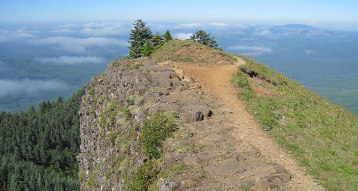 Saddle Mountain State Natural Area - Oregon State Parks