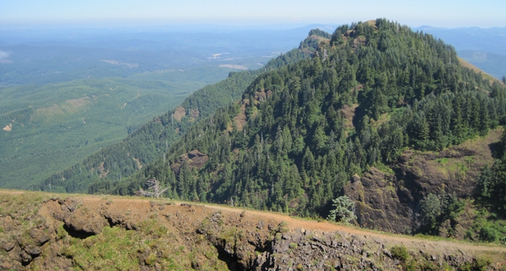 Saddle Mountain State Natural Area - Oregon State Parks