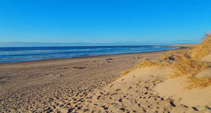 South Beach State Park - Oregon State Parks