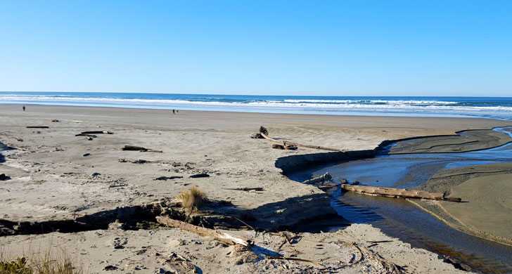 Photo of Driftwood Beach State Recreation Site