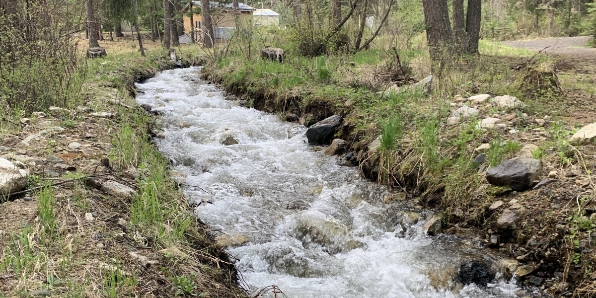 Creek running through campground.