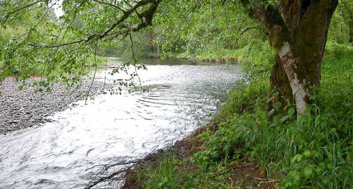 bonnie lure state park fishing Jackall 50 places to go fishing