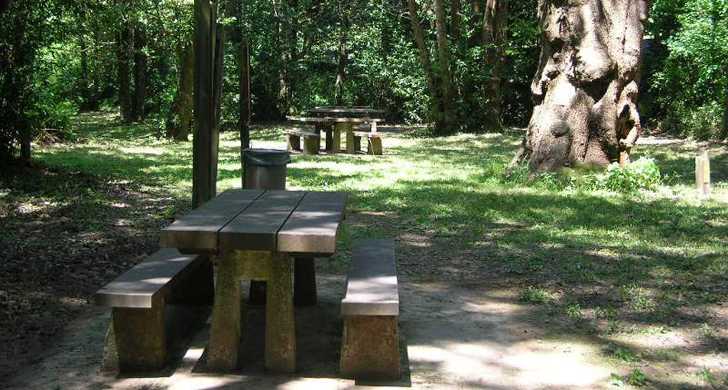 Photo of Hoffman Memorial State Wayside